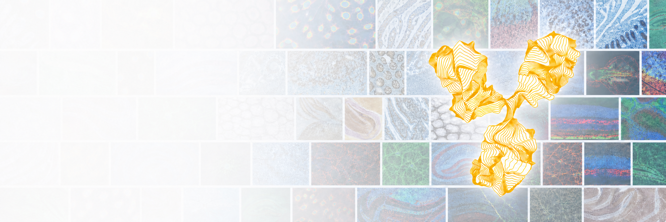 Golden contour-line antibody over a softly colored mosaic of scientific product images